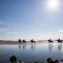 신산리-5 이미지