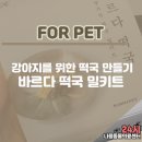 나음펫 네이버블로그
