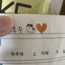 서울준동물병원 이미지