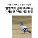 기자회견 안내: 비둘기 굶겨죽이는 법안 대신 불임사료를 이미지