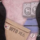 세이프가드 이미지