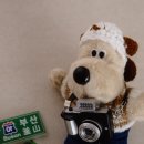 마음을 담다 애견샵 | 부산 가볼만한곳 흰여울문화마을 영도 소품샵 마음을 담다