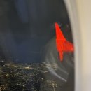 꼬맹이 김밥천국 | [여행] 푸꾸옥 1편 _ 푸꾸옥 공항에서 빈홀리데이즈피에스타 가는법, 빈버스 그랜드월드 24시 쌀국수 맛집