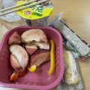 여양목장 | 375. 개힘든 가좍!!여행 ☀️🔥