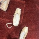 토슈즈 | [발레] 카페지오 토슈즈 피팅 후기 | 발레 글리쉬코 Smart Pointe 추천