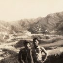 본동네