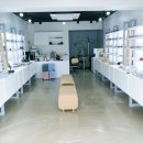 프레야안경