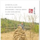 관음사 이미지