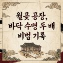 수명당 | 월곶면공장 내마모성라이닝, 바닥 수명 2배 비밀 후기!
