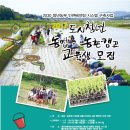 문당길 이미지