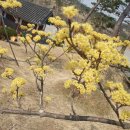 봉하어린이집 이미지