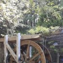 Butchart Gardens 이미지