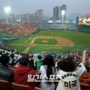 다지구장 일간스포츠