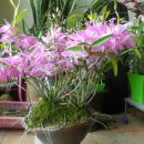 마이프렌드 이미지