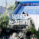 서초그린교통 | 서울 서초구 양재천 눈썰매장 겨울눈놀이터 주차 입장료 주말 방문 후기