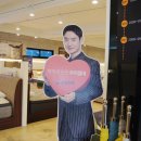디자인 제주도 이미지