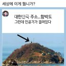 5줄 봉다리 ㅂㅅ6갑 떨다... 이미지