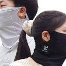 스컬독