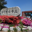 낭산면 행정복지센터 네이버블로그