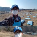 상윤농장 네이버블로그