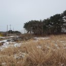 마망펜션 이미지