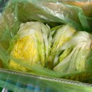 절임배추 ....마지막회 이미지