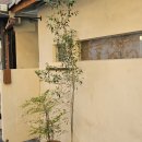 메종 761 이미지