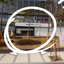 백석공단1로사거리 이미지