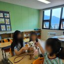 구이초등학교 이미지