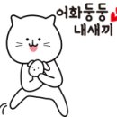 쉐프W(CHEF-W) 이미지