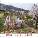 연신농장 Daum카페