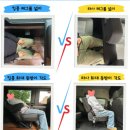 나이아가라폭포 투어 내돈내산 후기 위치 캐나다 날씨 당일치기 뉴욕 근교 여행