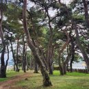 정류소매점 | 예천 금당실 중국집 맛집 옥이짬뽕 후기