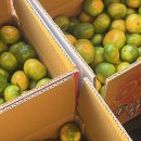 한라앤탐 이미지