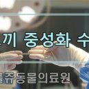 리틀쥬동물의료원 이미지