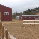 중원대학교 공공승마장 이미지