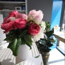 독립문약국 이미지