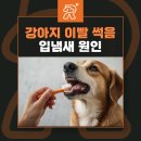 라온메디칼 이미지