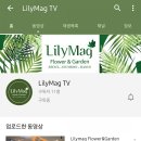 릴리맥 - 중구 세종대로 136 | 릴리맥