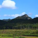 신덕면사무소 이미지