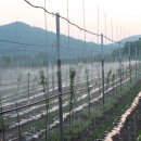 재식농장 이미지