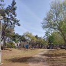 옥암근린공원 네이버블로그