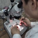 스타키보청기 춘천난청센터 | 스타키보청기 춘천난청센터 춘천보청기 상담받고 온 솔직 방문 후기