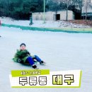 동그라미유치원 | 대구 이월드 눈썰매장 후기 대구 아이와 가볼만한곳 핫플