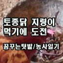 꿈꾸는지렁이