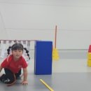 강철체육관(태권도) 이미지