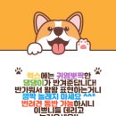 럭스라이팅