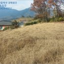 남산리 입석 네이버블로그
