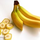 바나나동물병원 이미지