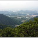 솔밭정